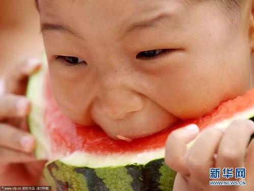 吃瓜的表情包 吃瓜大赛,吃瓜大赛表情包盛宴