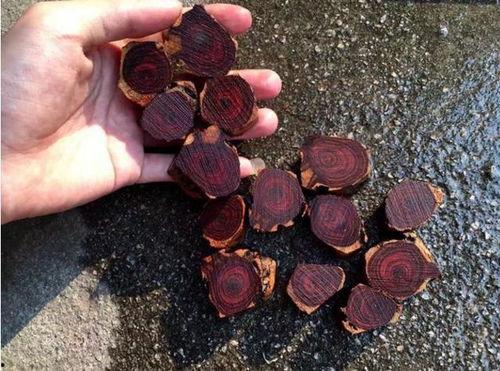 今日看料,揭秘最新资讯背后的故事